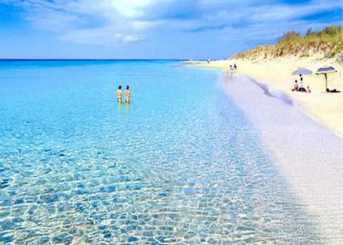 מלון Summer סאלבה